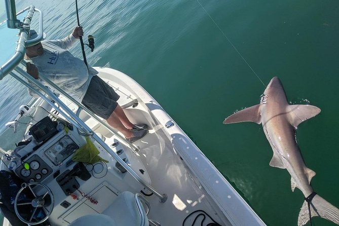 Fishing Charters - Fort Myers Beach / Naples - Catches and Catch Management