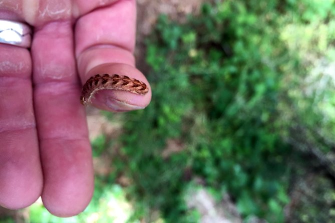 Full-day Columbia Gorge Hiking - Who Would Enjoy This Tour?