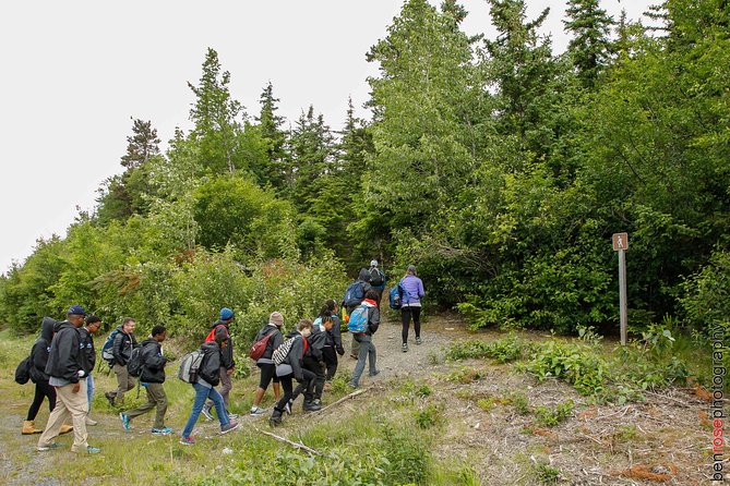 Full-Day Mount Riley Hike from Haines - Who Will Love This Tour?