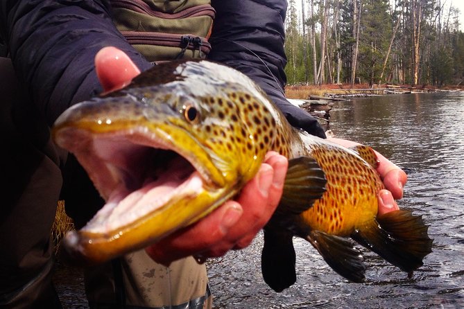 Guided Fishing Trip in Jackson Hole - Is This Tour Good Value?