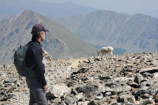 Guided Private Scenic Colorado Mountain Hiking - Half Day - Why a Guided Colorado Mountain Hike Is a Smart Choice