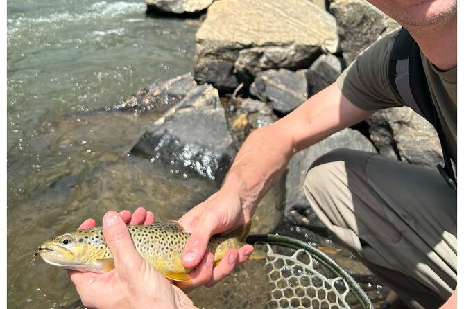 Half Day Fly Fishing Lesson on Clear Creek near Denver - The full story of the experience