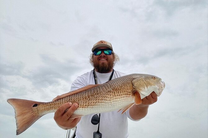 Half-Day Private Guided Inshore Fishing Charter on the Nature Coast - Inshore Fishing: A Mix of Tagging and Catching