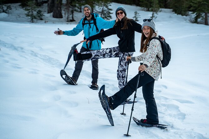 Half Day Snowshoe Hike in Tahoe National Forest - A Deep Dive into the Snowshoe Experience