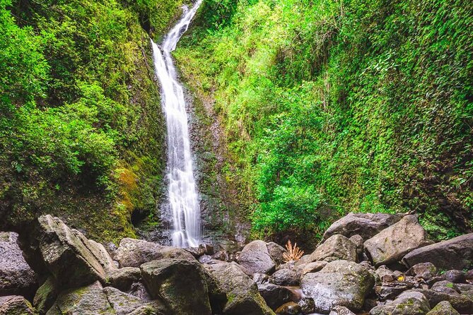 Hike Trail to Waterfall & Nature Walk - Is This Tour Worth It?