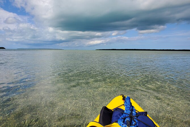 Kayak Trip, 1 Wet Hike + 2 dry hikes in Everglades National Park - FAQ