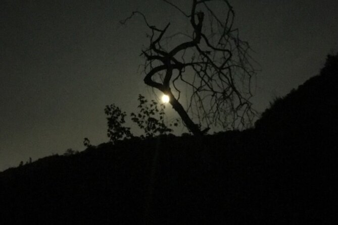 LA Night Hikers - Wildlife, Scenic Views & Landmarks