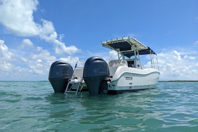 Let it Ride Charters - Private Fishing Charter Adventure in Key Largo, FL - Diving into the Actual Experience