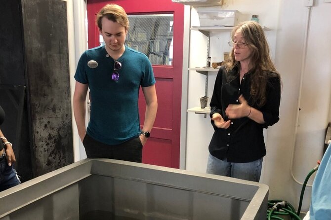 Mel Fisher Maritime Museum Admission Ticket - FAQs