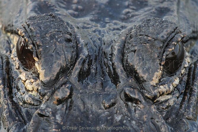 Mosquito Lagoon Sight Fishing Charters Near Orlando Florida - What Does the Itinerary Look Like?