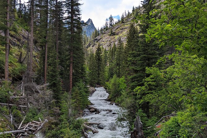 Mountaintop Hiking/Snowshoeing in the Bitterroot Mountains - Customization and Private Tours