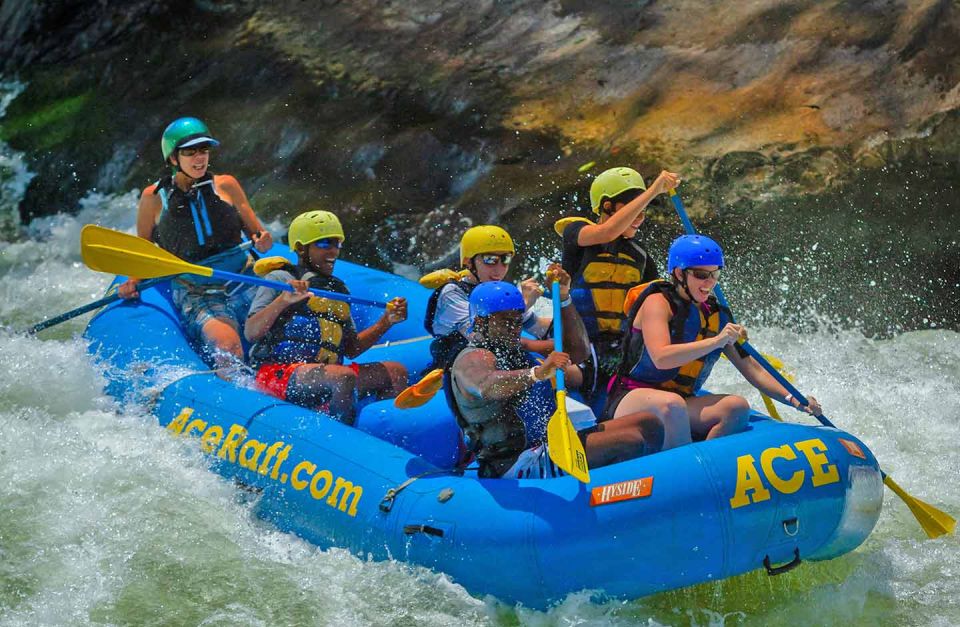 New River Gorge Whitewater Rafting - Lower New Full Day - Preparation & Instructions