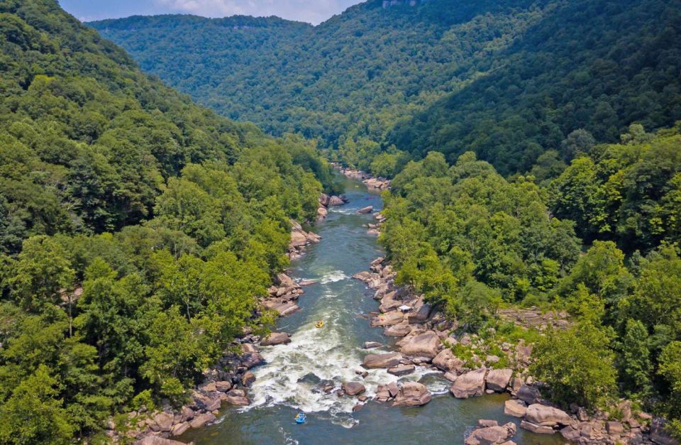 New River Gorge Whitewater Rafting - Lower New Half Day - Who Will Love This Experience Most?