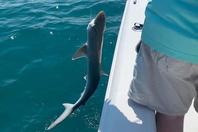 Private 4 hr fishing tour with master captain bill phillips a closer look at the itinerary & experience