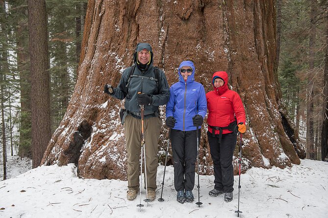 Private Guided Snowshoe Hike in Yosemite - A Few Final Thoughts
