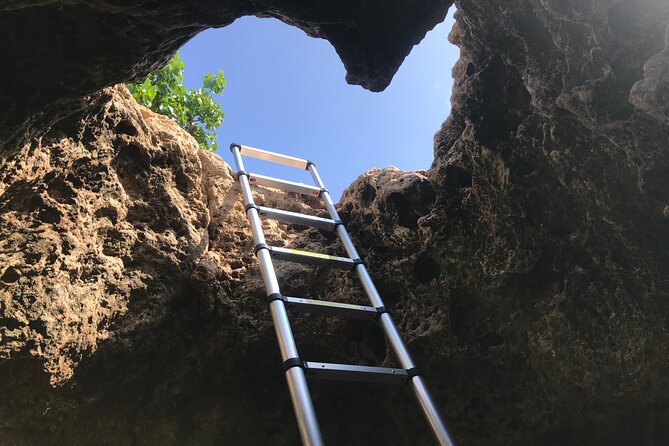 Private Mermaid Caves and West Oahu with Kaena Point Hike (Se habla Español) - Authentic Experiences and User Feedback