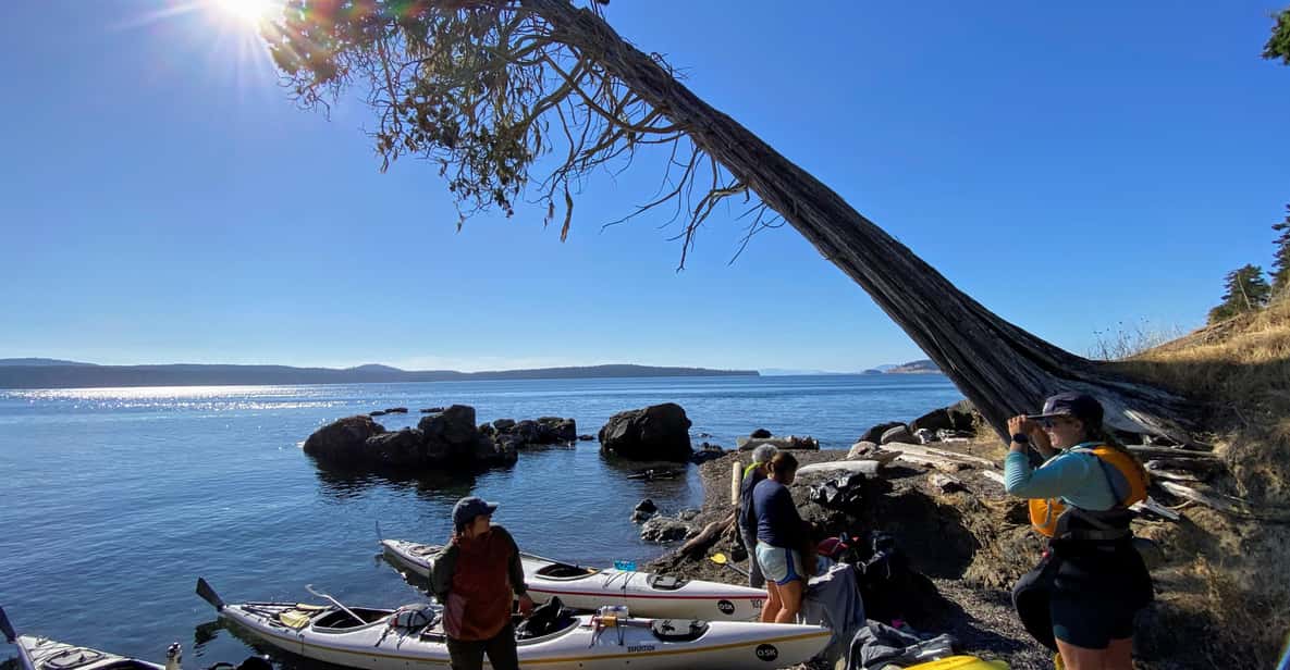 San Juan Islands: 3 Day Kayak and Camping Adventure - Price and Value: Does It Catch Your Eye?