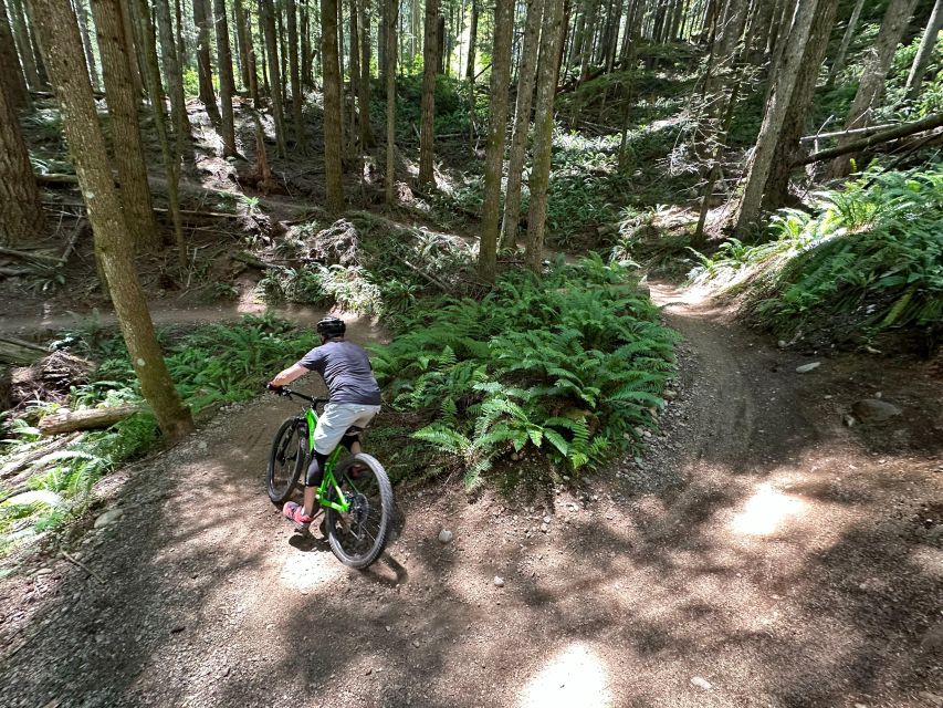 Seattle: Half Day All-Inclusive Mountain Bike Tour - The Trail Experience: What Youll Encounter