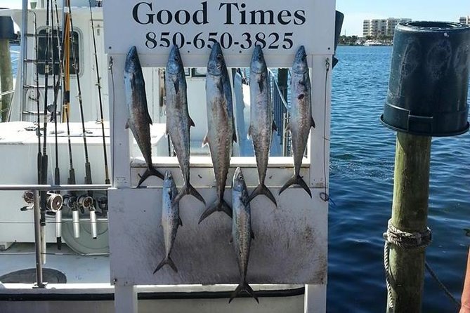 Shared Deep Sea Fishing Trip from Destin - The Sum Up: Who’s It For?
