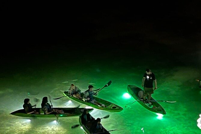 Sharkey's Glass Bottom Fish Feeding LED Night Tour in Clearwater - Additional Practical Tips