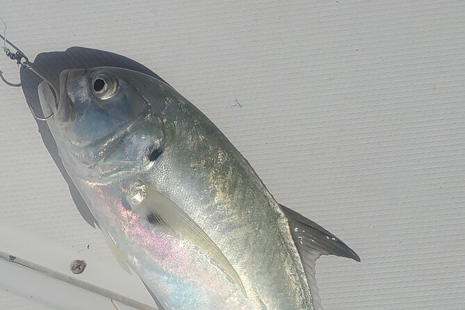 Sonnys Boat Tours Half Day Off Shore Fishing Charter Englewood Fl - What Its Like to Fish for Hours