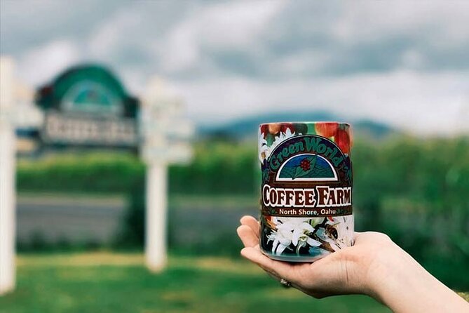 Swim at Oahu Waterfall in Waimea with Coffee, Lunch and Dole - Practical Details