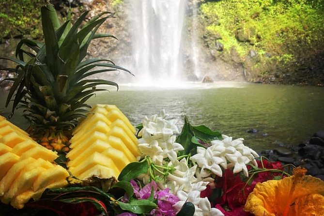 Wailua River & Waterfalls Kayak Tour: Expert-Guided Adventure - Who Will Love This Tour?
