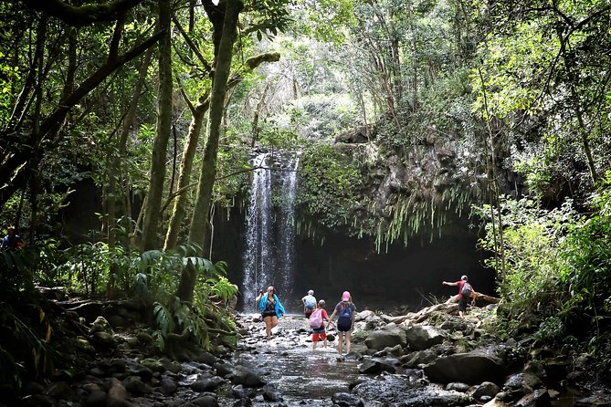 Waterfall & Rainforest Hiking Adventure with Hotel Pickup - The Value of the Experience