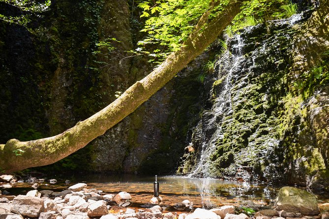 Wine & Wellness Tour in Napa Valley - Frequently Asked Questions (FAQs)