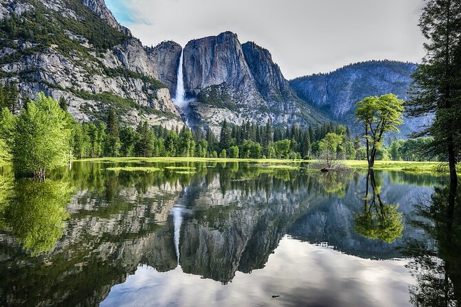Yosemite LGBTQIA 3-Day Camping Adventure from San Francisco - Day 3: Wrap-up with a Final Showdown at El Capitan Meadow