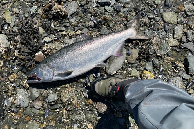 3 Hours Fishing Experience Class in Juneau - Pricing and Value