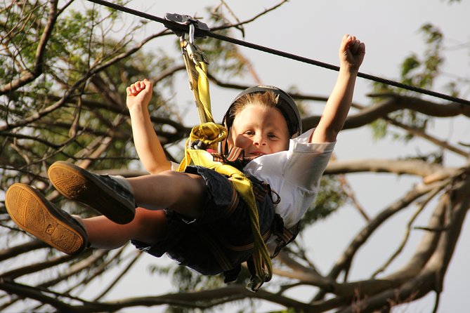 7-Line Maui Zipline on the North Shore - Guides and Group Dynamics