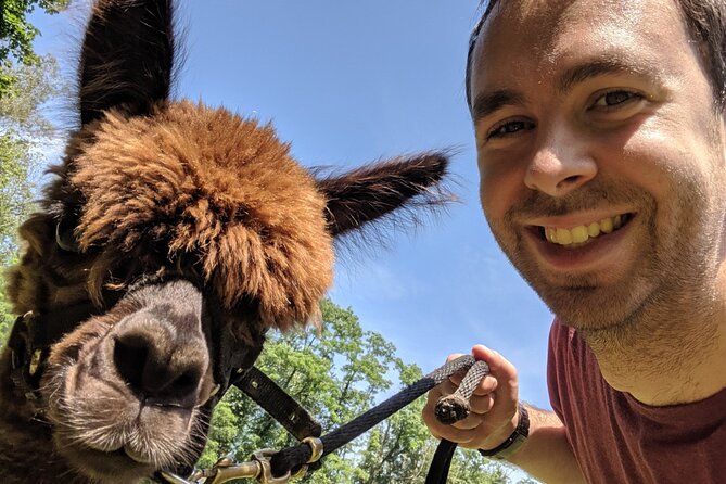 Alpaca and Llama Trek in Pleasant Valley - Final Thoughts