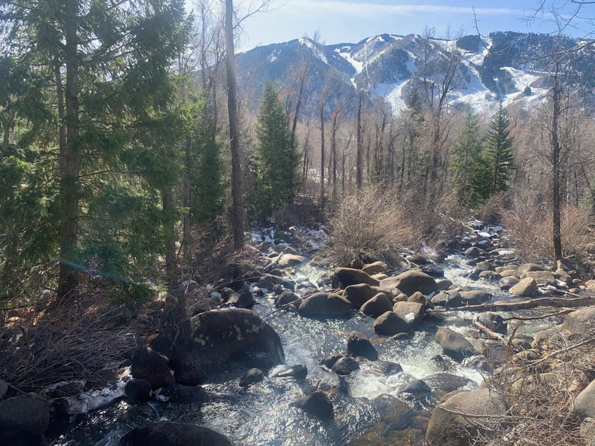 Aspen: Guided Light Hike with Roaring Fork River Views - How the Tour Adds Value