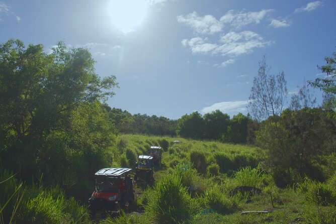 ATV Ranch ride Big Island Hawaii - Guide & Tour Experience: What Our Research Shows