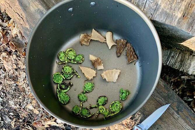 Backcountry Eats & Foraging Treats - Accessibility and Practical Considerations