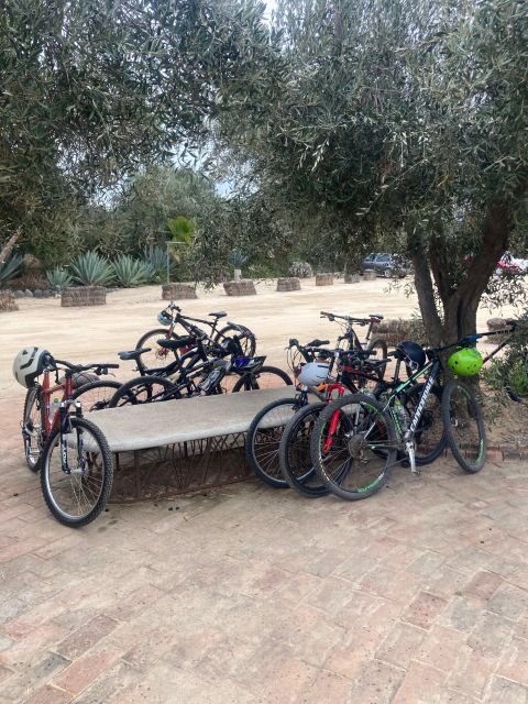 Bike Through Vineyards The best Wine in the Guadalupe Valley - What Reviewers Say