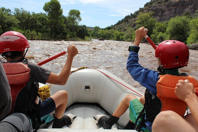Durango 1/4 Day Rafting Trip - Lower Animas River - Who Should Consider This Tour?