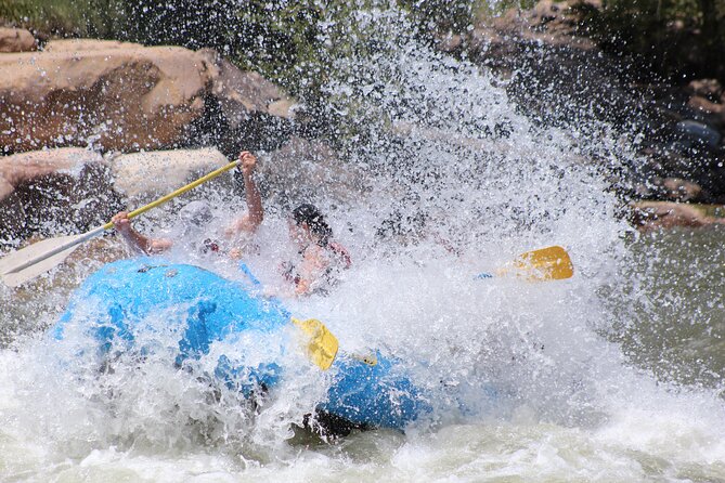 Durango Colorado - Rafting 1/2 Day - Who Is This Tour Best For?