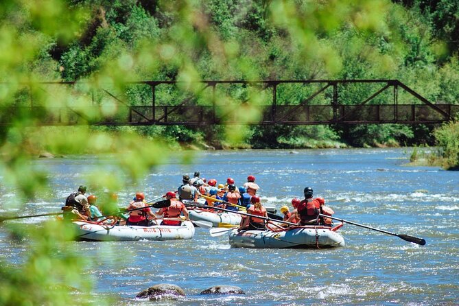 Durango Half Day Rafting Trip - Lower Animas River - Analyzing Value and Cost
