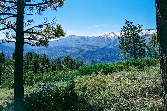 Family-Friendly Nature Hike around the Big Bear Valley - FAQs