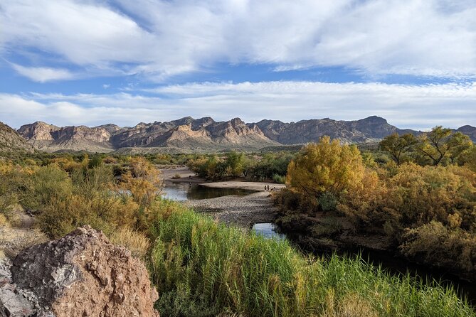 Guided Hike: Lime Kiln Desert Hike on the Lower Salt River - Why Choose This Tour? The Value & Authenticity