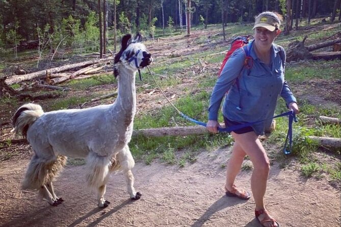Guided Llama Hike in the Rocky Mountains - Practical Tips for Visitors