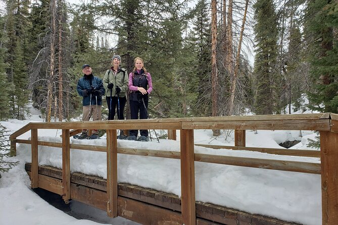 Guided Uinta Forest 3-Mile Hike w/fire + Lunch/charcuterie Stop - Who Will Love This Tour?