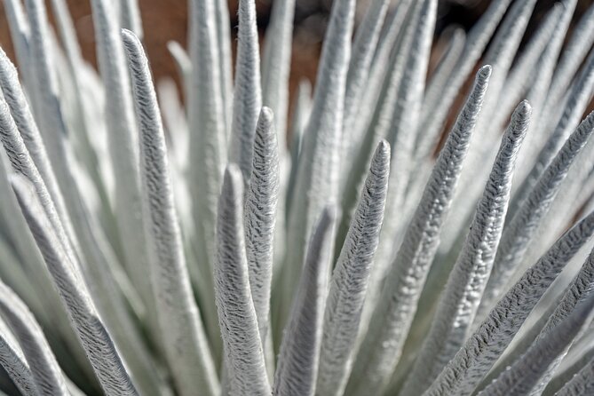 Haleakala Crater Hiking Experience - The Sum Up