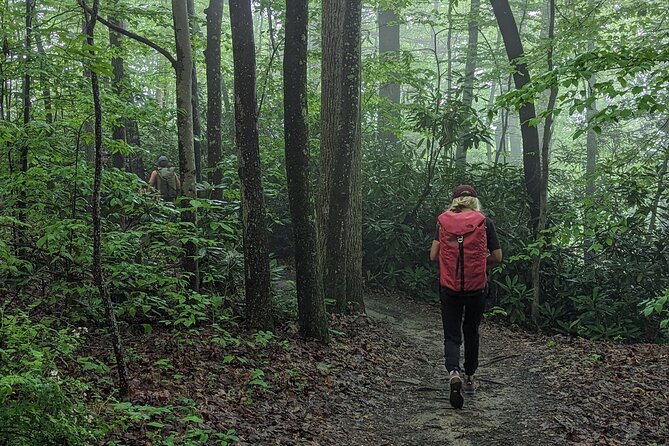 Intro to Camping - The Group Dynamic and Guide Experience