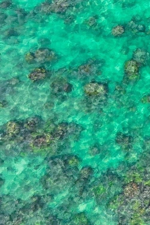 Kailua, Oahu: Guided E-Bike & Kayak Tour to Mokulua Islands - Lunch on the Beach & Wildlife Considerations