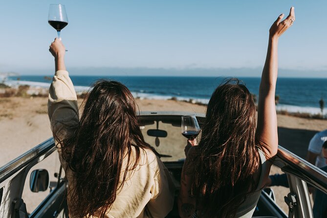 Los Angeles: Private Vintage VW Bus Tour in Malibu - The Day-to-Day Itinerary