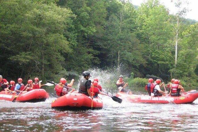 Lower Pigeon River Rafting Tour - Practical Tips for Your Rafting Adventure