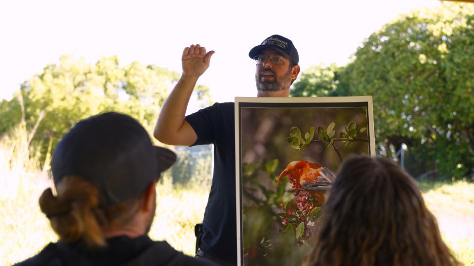 Maui: Honolua Ridgeline Informational Hike - Why This Tour Offers Great Value